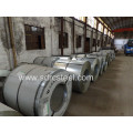 Galvanized Steel Coil